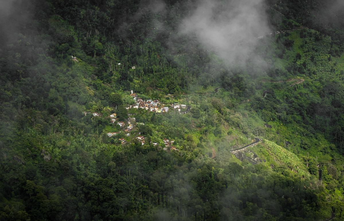 Image of Nature, Atmospheric phenomenon, Hill station, Vegetation, Biome, Jungle etc.
