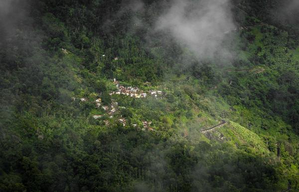 Image of Nature, Atmospheric phenomenon, Hill station, Vegetation, Biome, Jungle etc.
