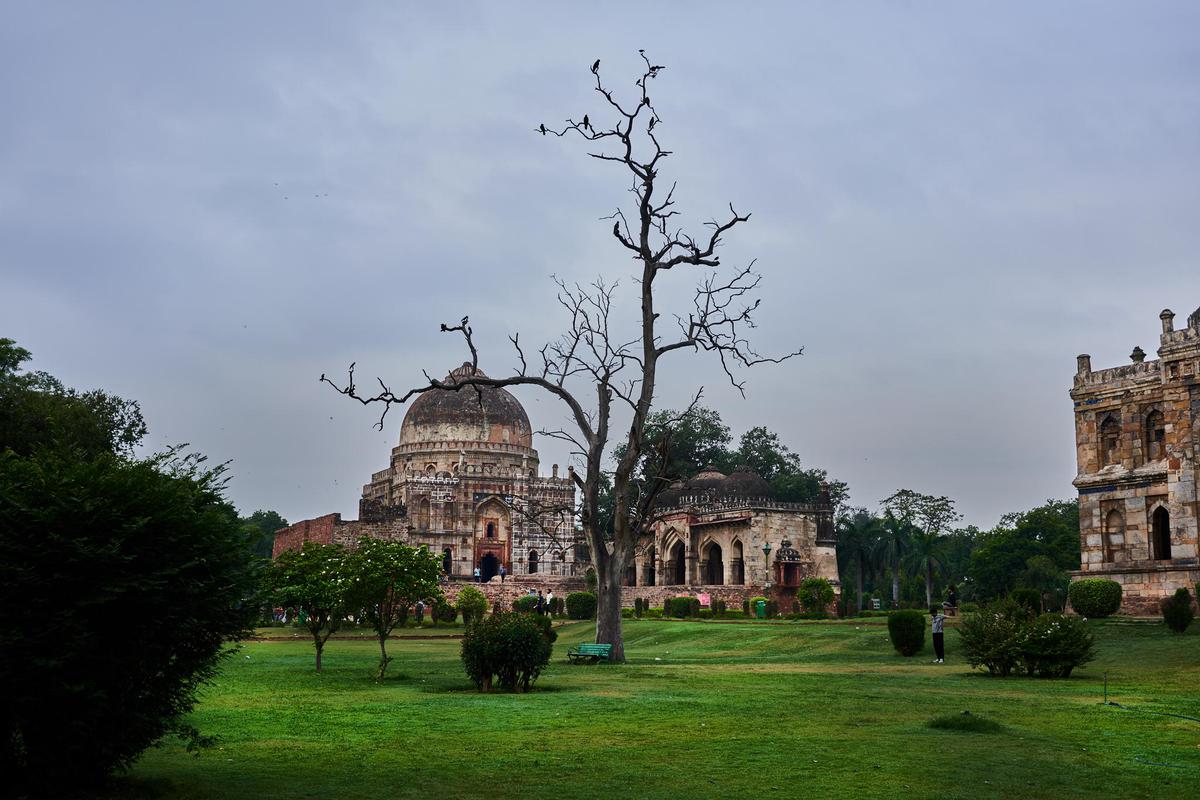 Image of Sky, Tree, Building, Landmark etc.