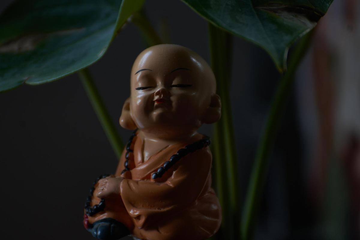 Image of Child, Smile, Adaptation etc.