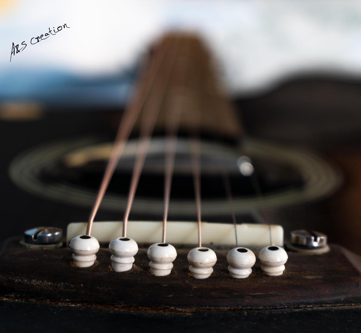 Image of Musical instrument, String instrument, Plucked string instruments, Guitar, String instrument accessory etc.