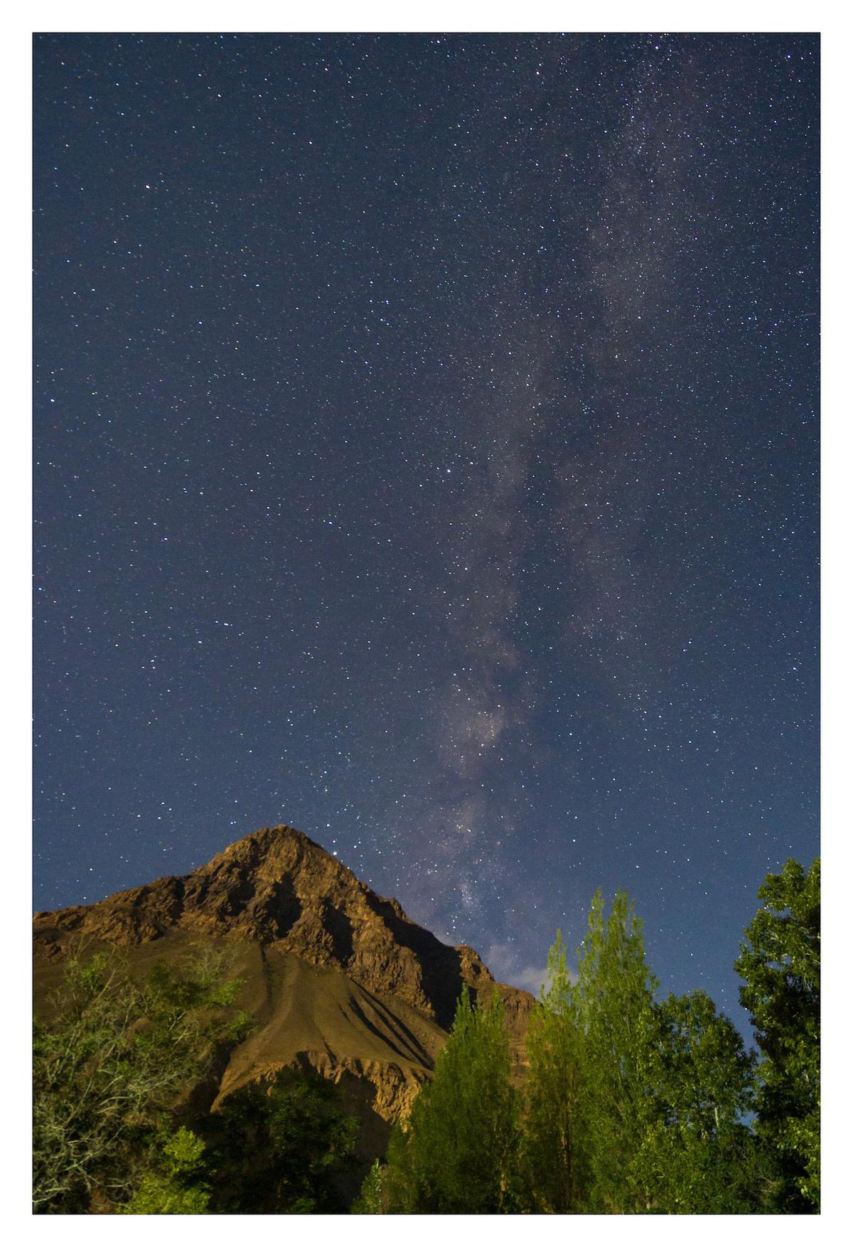 Image of Nature, Sky, Tree, Natural landscape, Night, Star etc.