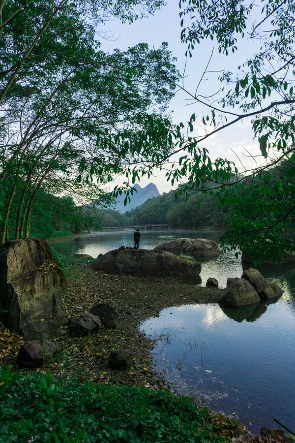 Image of Highland, Sky, Tree, Branch, Natural landscape, Vegetation etc.