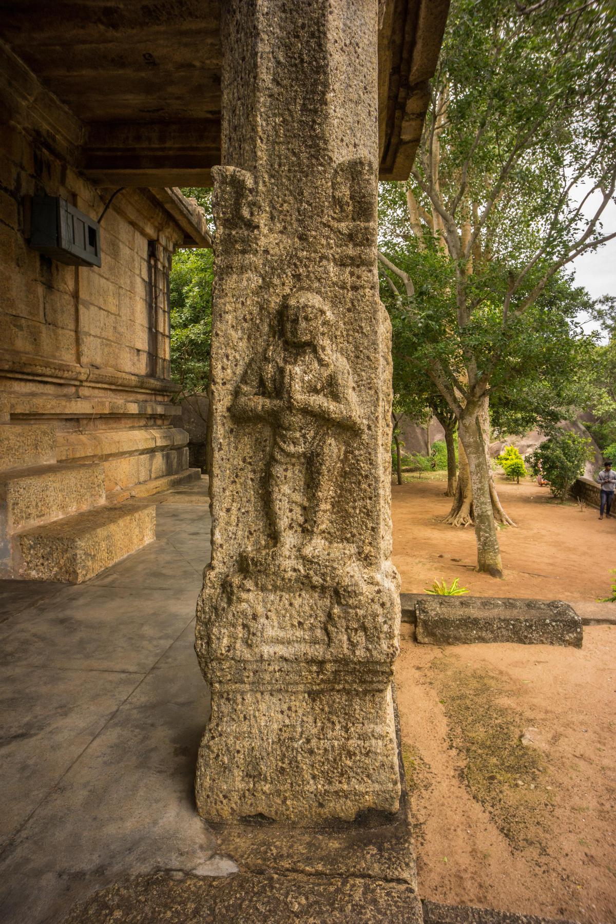 Image of Temple, Tree, Branch, Plant, Grass, Wood etc.