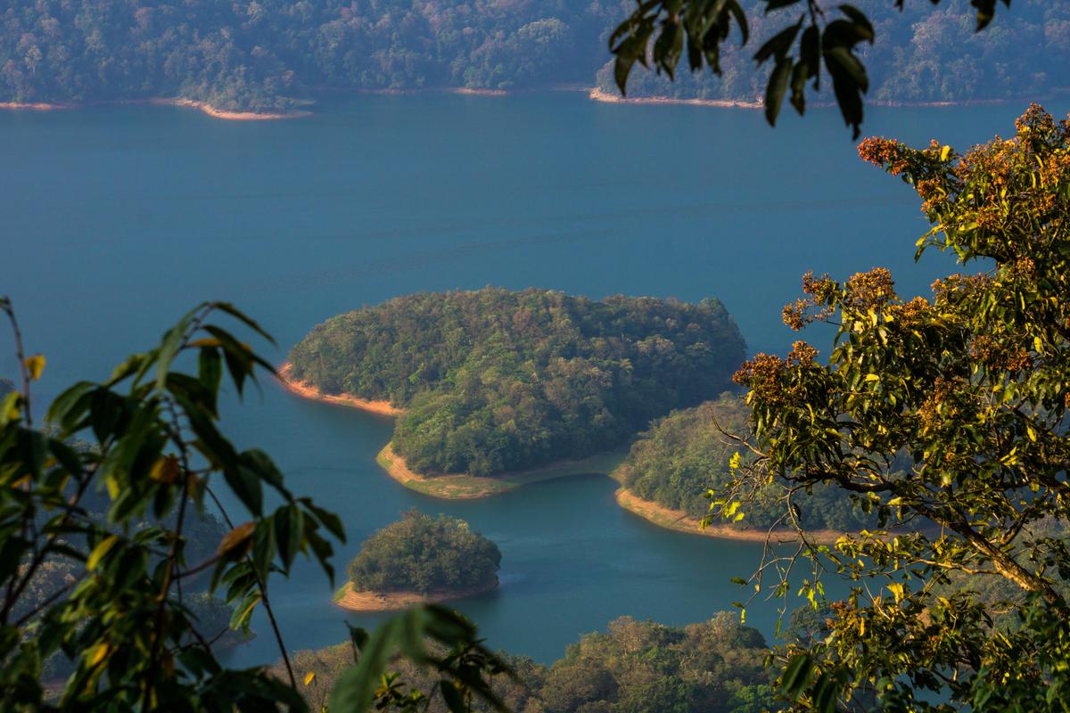 Image of Nature, Mountain, Tree, Natural landscape, Vegetation, Water etc.