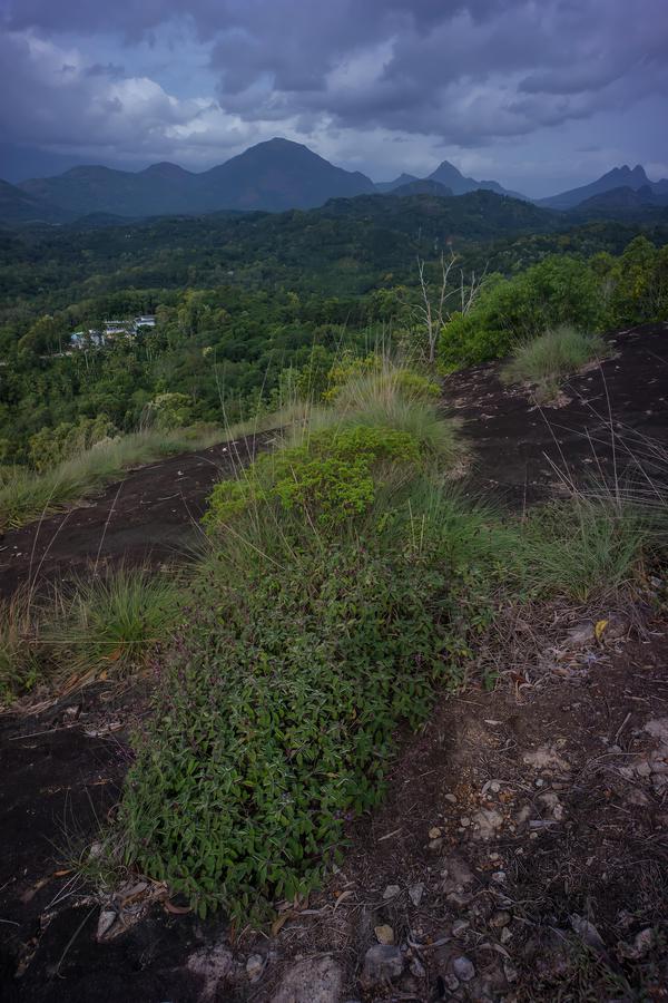 Image of Highland, Sky, Mountain, Cloud, Natural landscape, Plant etc.