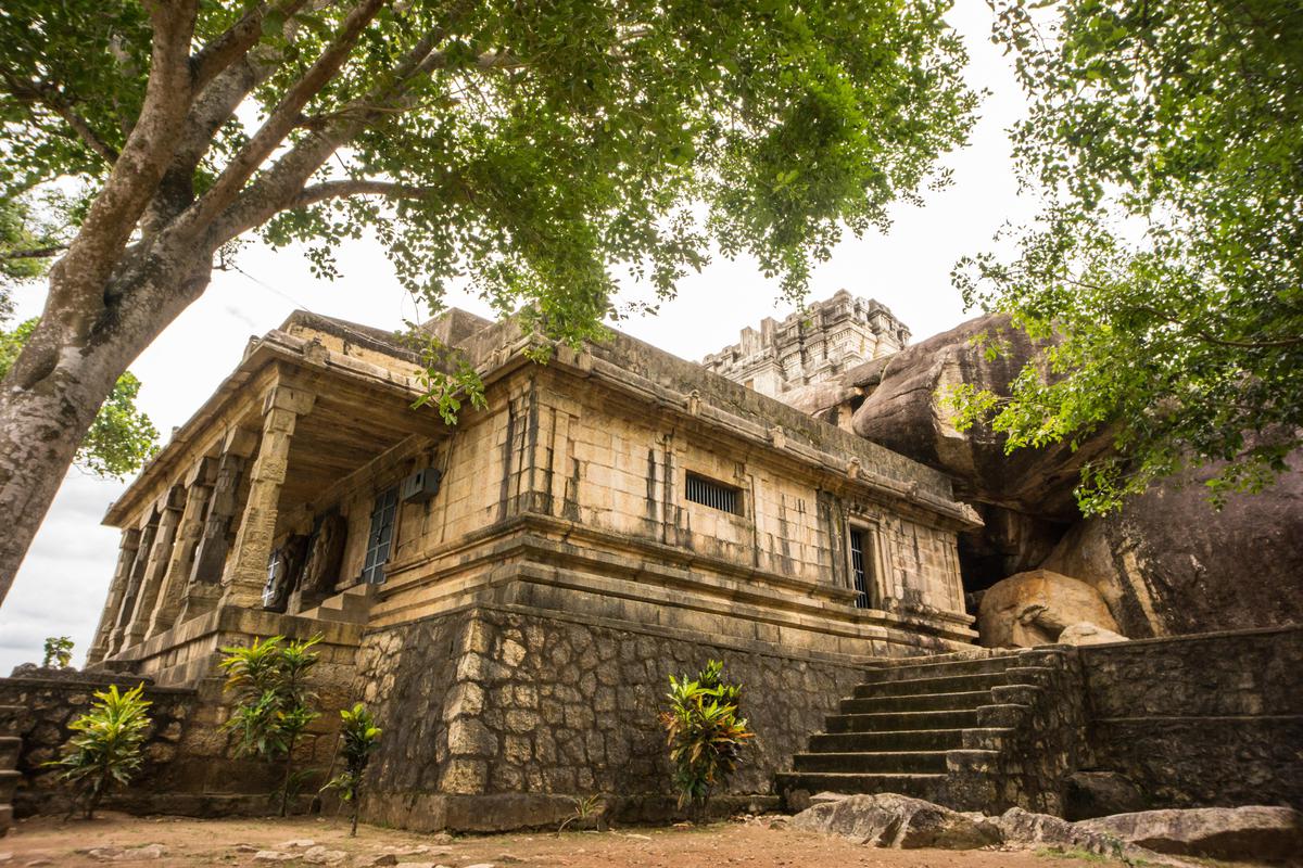 Image of Sky, Tree, Building, Plant, Window etc.