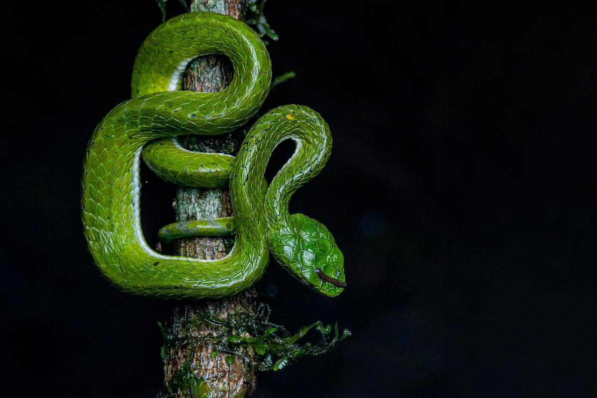 Image of  etc.