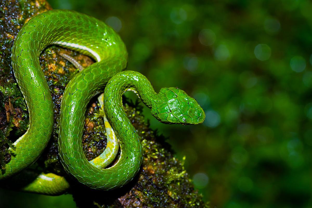 Image of  etc.