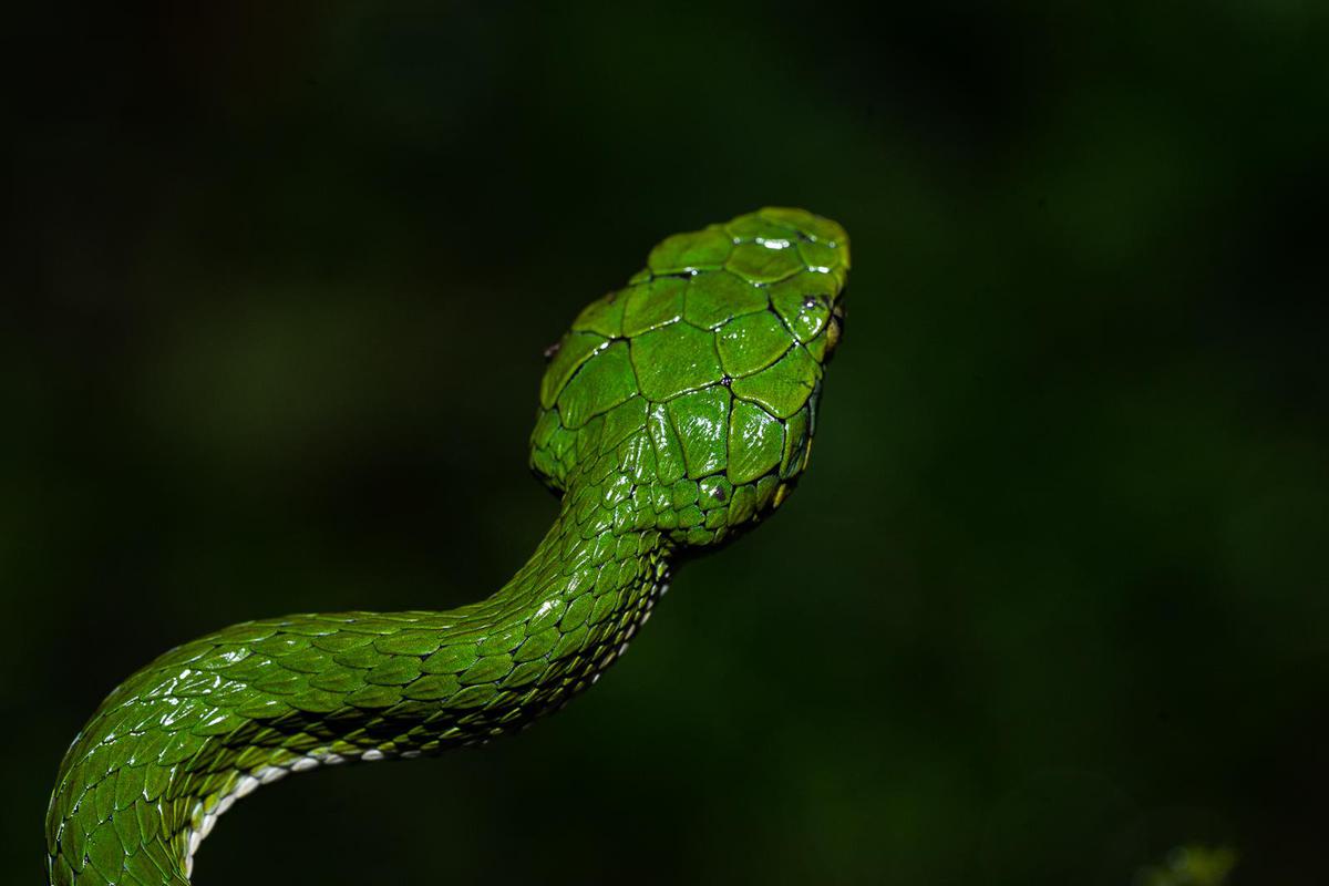Image of  etc.