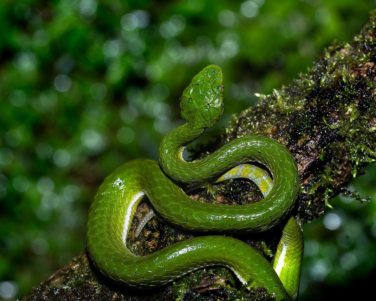 Image of  etc.