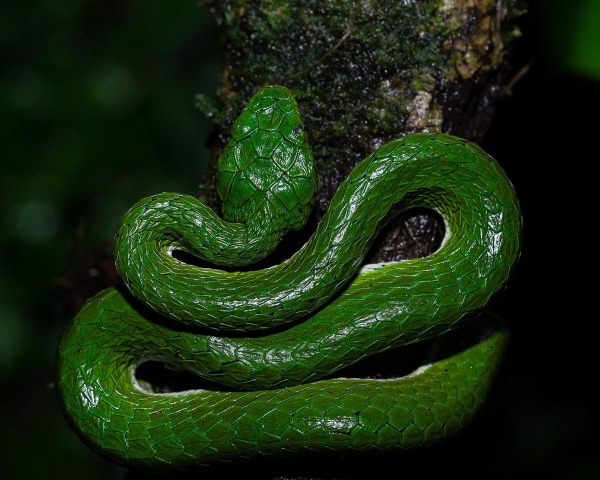 Image of  etc.