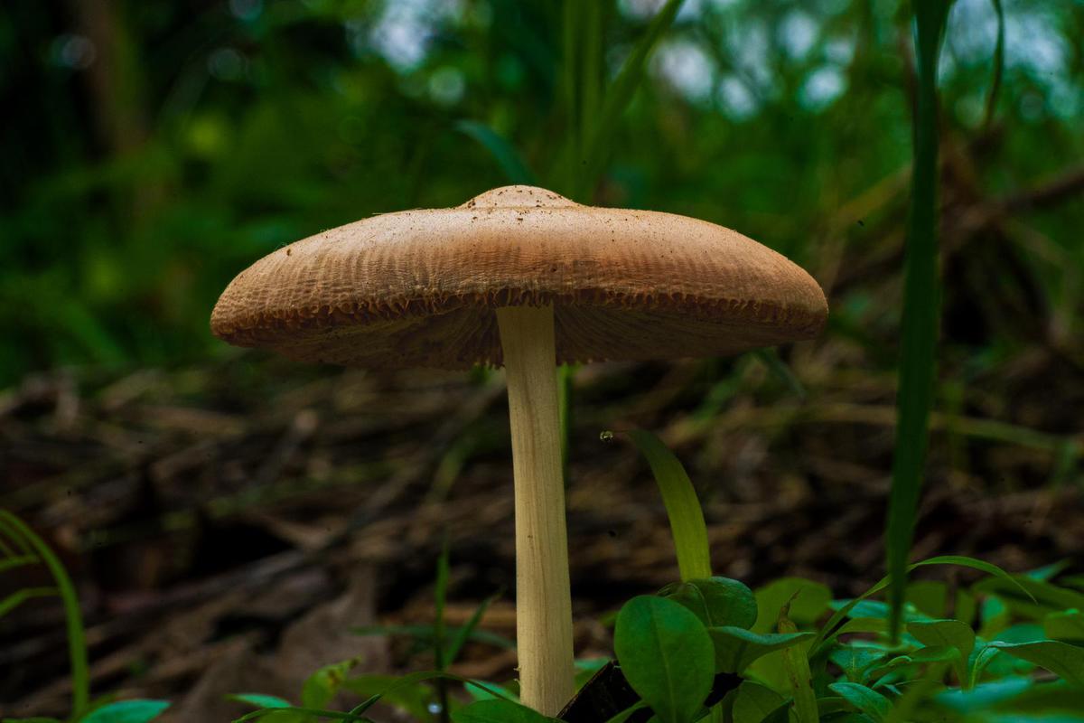 Image of  etc.