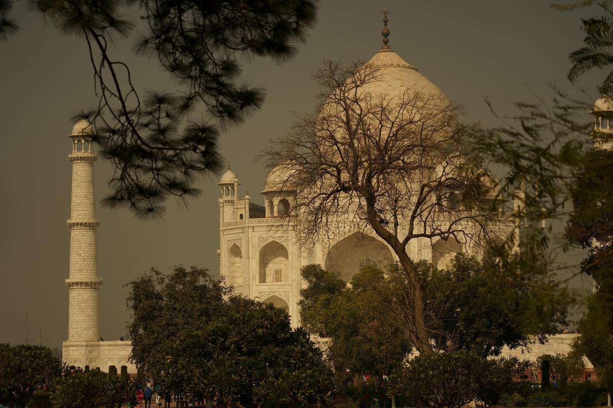 Image of Atmospheric phenomenon, Sky, Tree, Architecture, Building, Landmark etc.