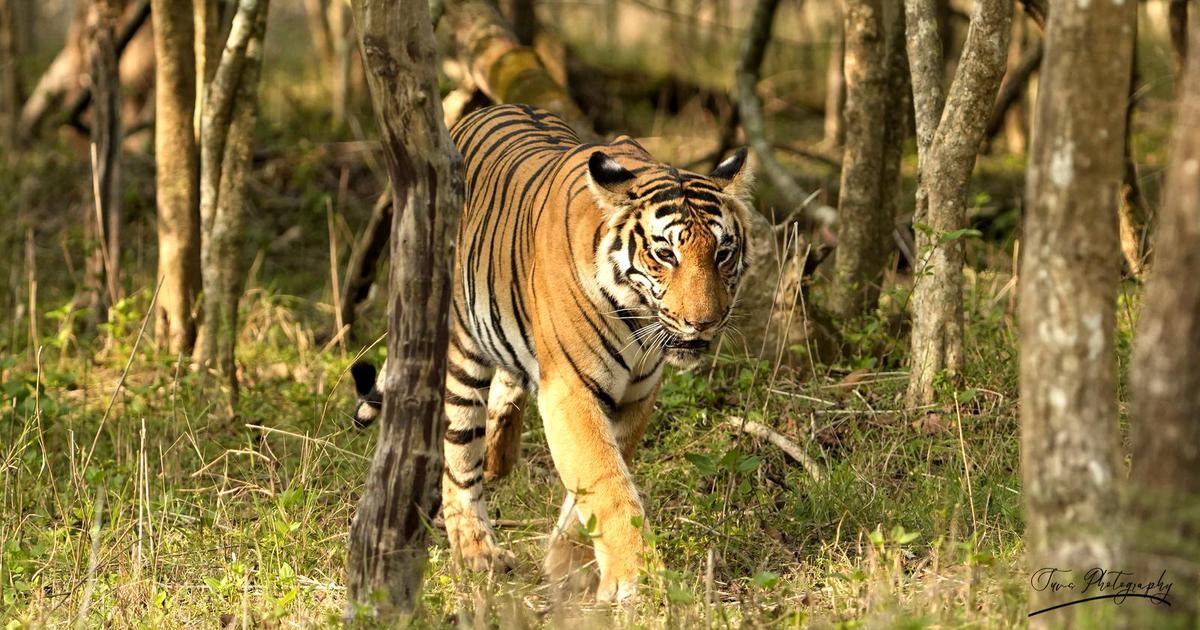 Image of  etc.