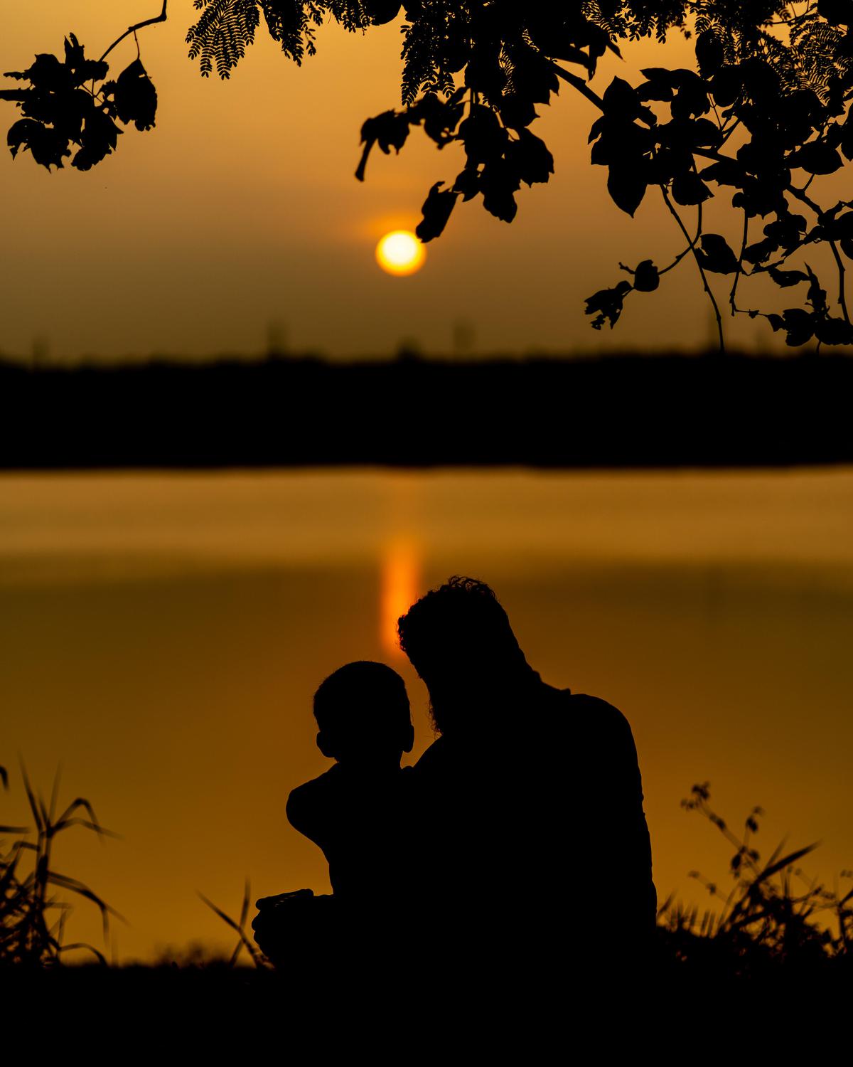 Image of Nature, Sky, Afterglow, Sunset, Branch, Water etc.