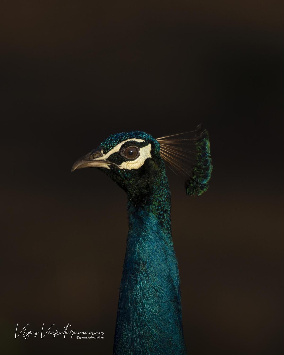 Image of etc.