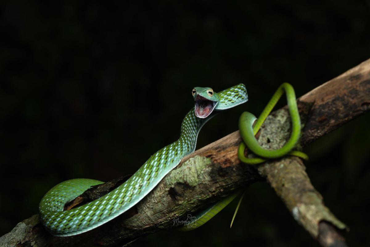 Image of  etc.