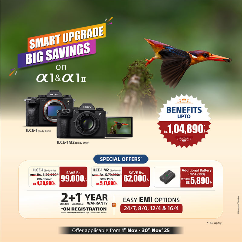 The Biggest Wedding Bonanza on ILCE-1 and ILCE-1M2