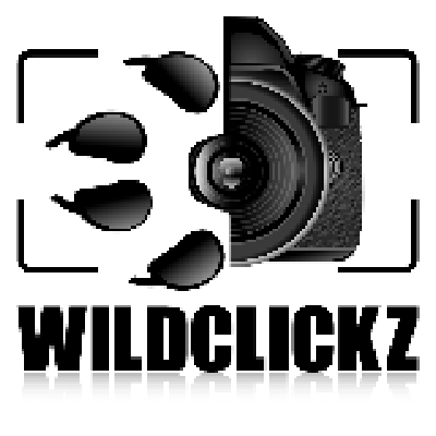 WILDCLICKZ
