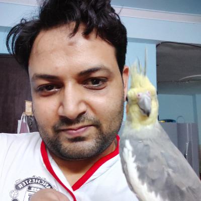 Raman Kaushik